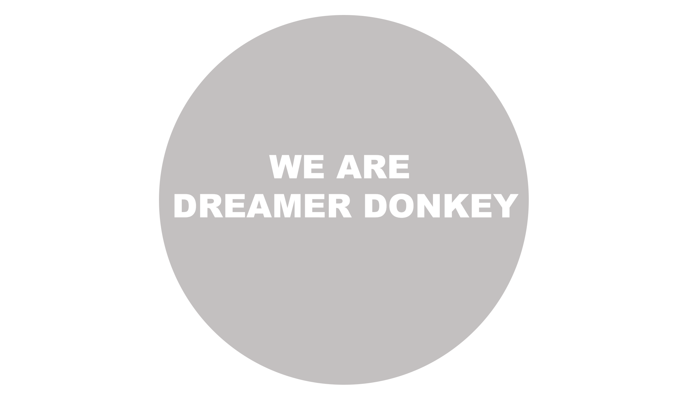 Dreamer Donkey Slide 2